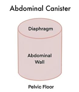 Abdominal canister.
